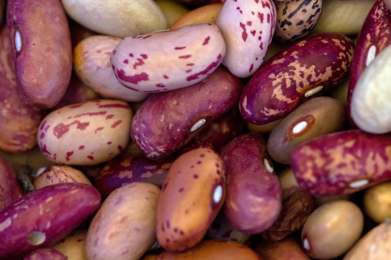 Free stock image of Beans created by Alen