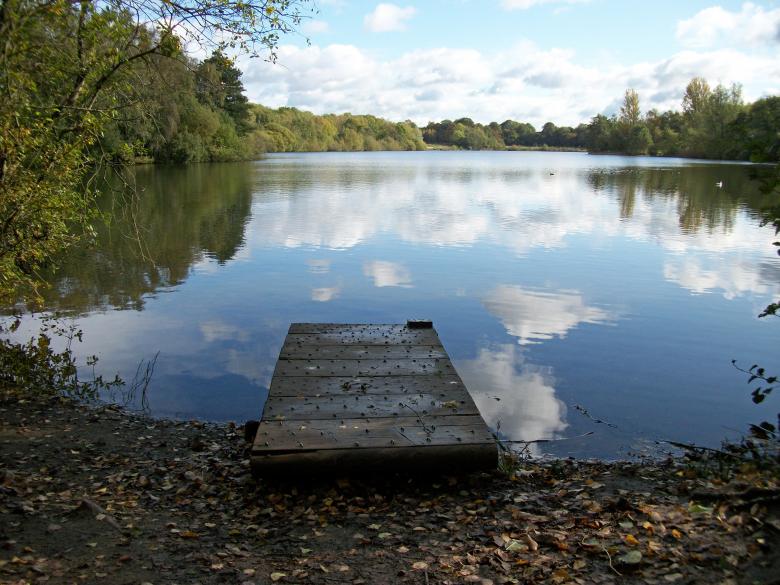 Free stock image of Across the Lake created by Darren Lewis