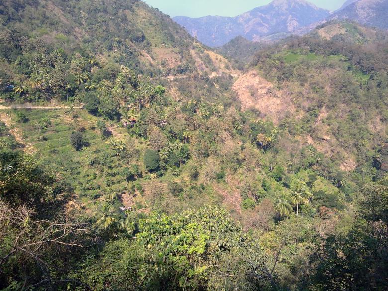 Free stock image of  Hill Side Trees created by Tona sam