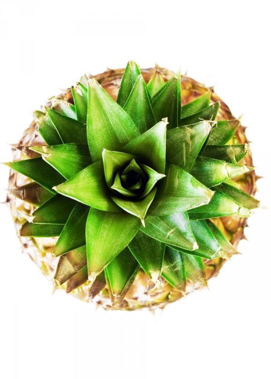 Free stock image of pineapple created by 2happy