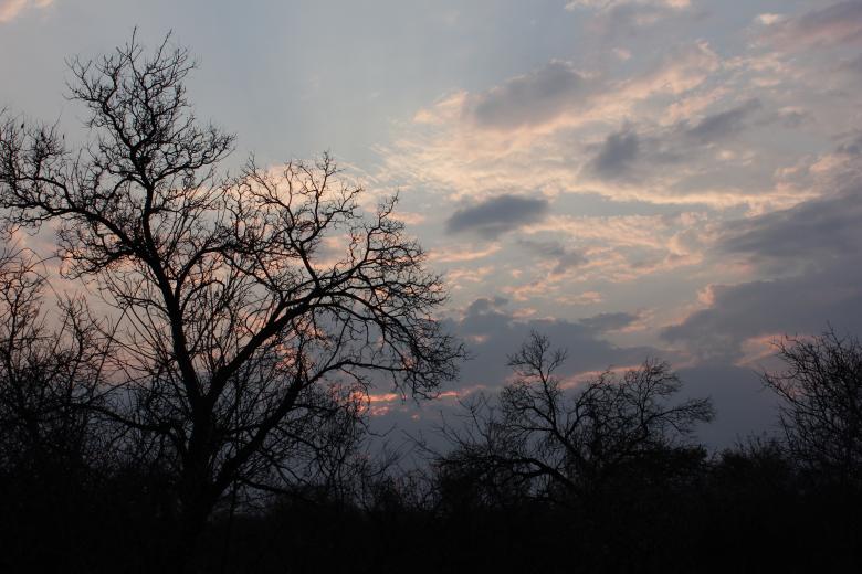 Free stock image of Botswana created by Eduard Leon Kohler