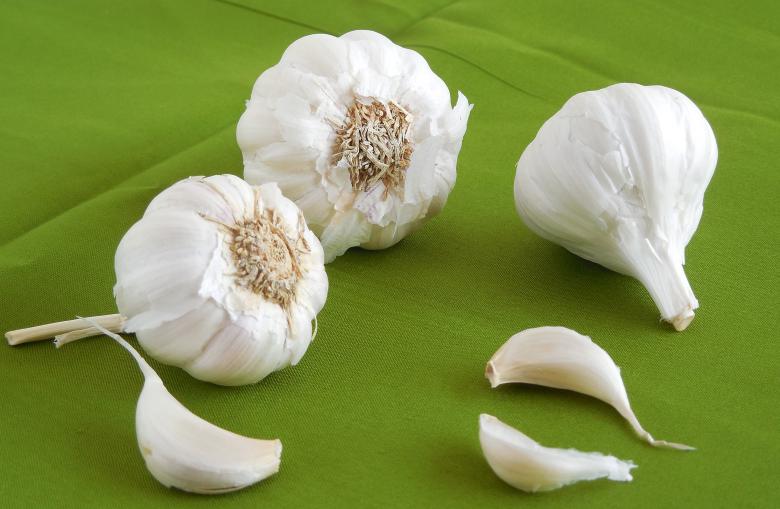 Free stock image of Garlic created by Sid Wood