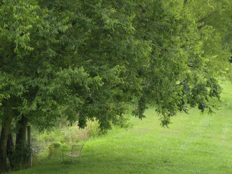 Free stock image of Seat In Country created by Katie Hildreth