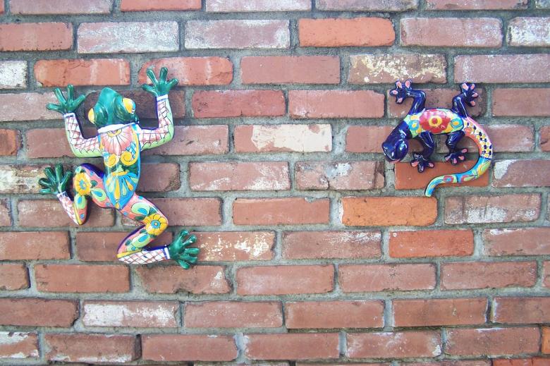 Free stock image of Frog and Lizard on Brick Wall created by delicopsch56