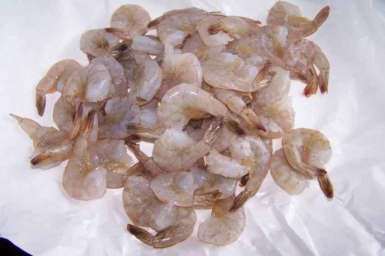 Free stock image of Shrimp created by delicopsch56