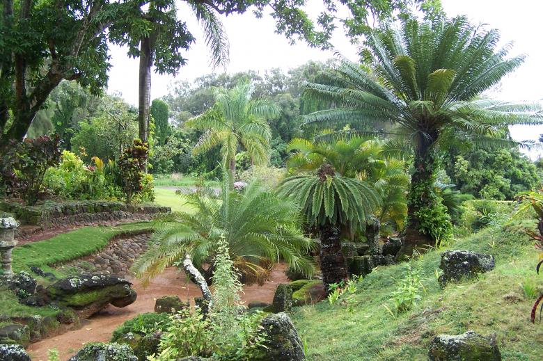 Free stock image of Hawaiian Garden created by delicopsch56