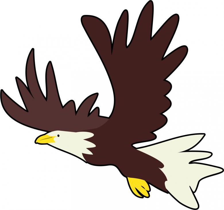 Free stock image of Bald Eagle Clip Art created by Prawny