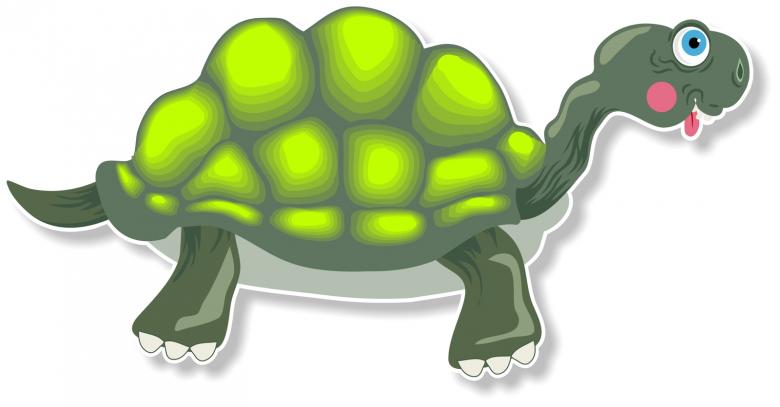 Free stock image of Cartoon Tortoise created by Prawny