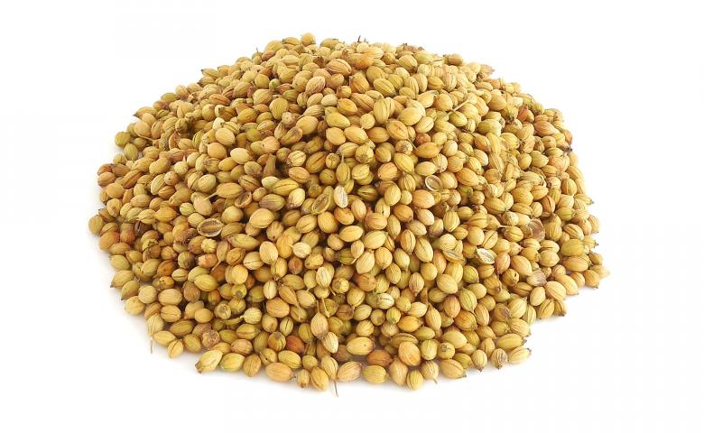 Free stock image of Coriander Seeds created by Sid Wood