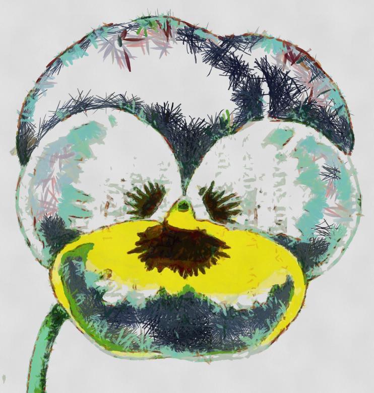 Free stock image of Pansy created by Prawny