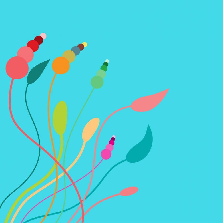 Free stock image of Reed Plants created by Prawny