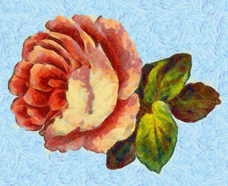 Free stock image of Pink Rose created by Prawny