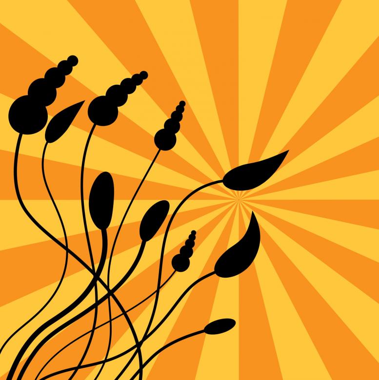 Free stock image of Silhouette Plants created by Prawny