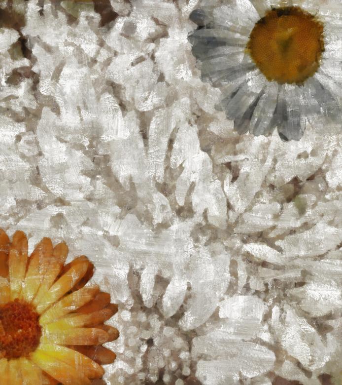 Free stock image of Floral Background created by Prawny