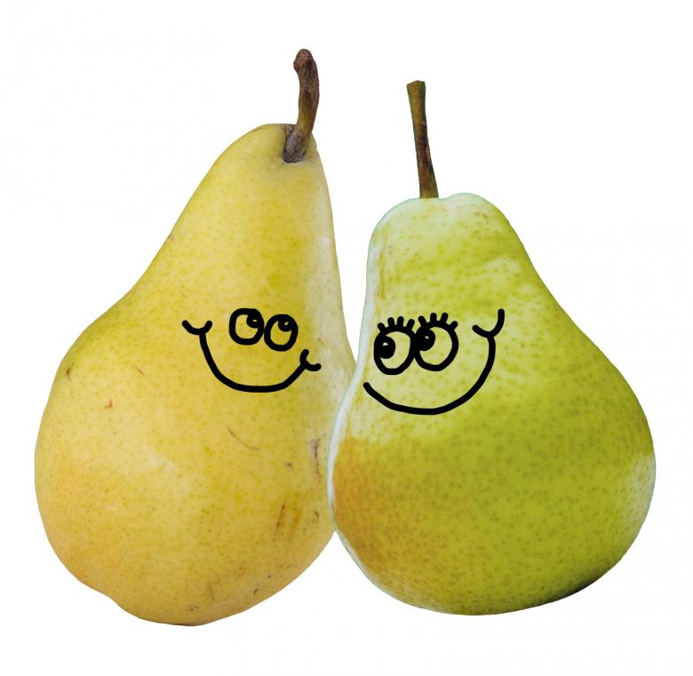 Free stock image of A Pair of Pears created by Prawny