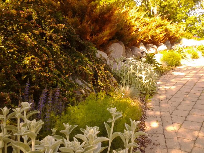 Free stock image of Pathway created by Mario