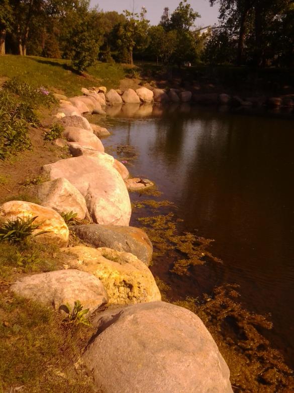 Free stock image of Fishing pond created by Mario