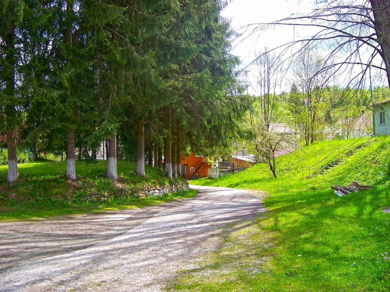 Free stock image of Road near forest created by Shaggy