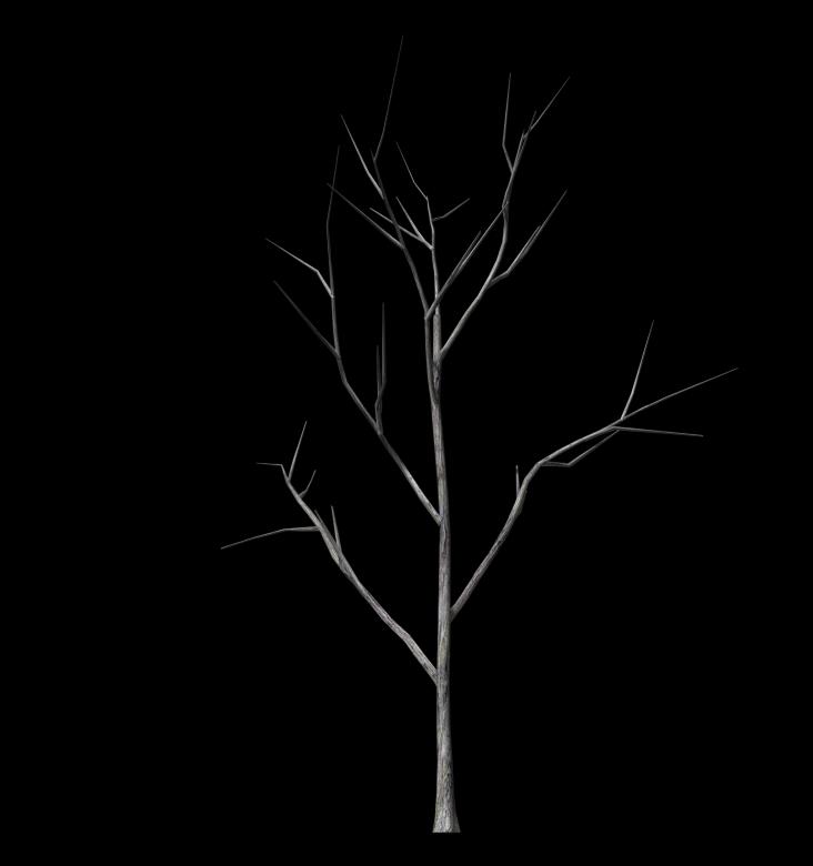 Free stock image of Branch created by Dmitriy