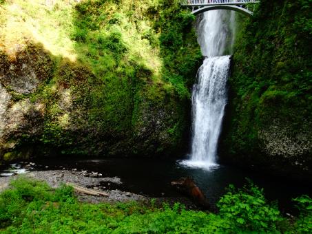 Waterfall - Free Stock Photo