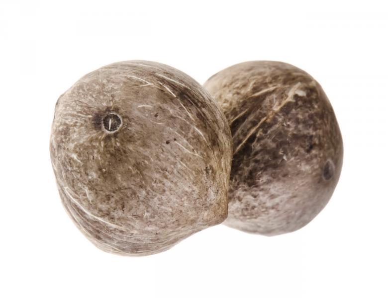 Free stock image of coconuts created by 2happy