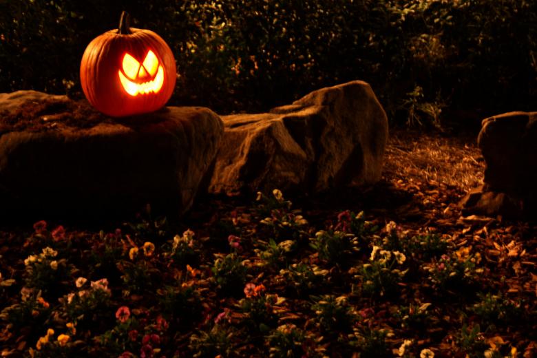 Free stock image of A Halloween jack-o-lantern on a rock created by Benjamin Miller