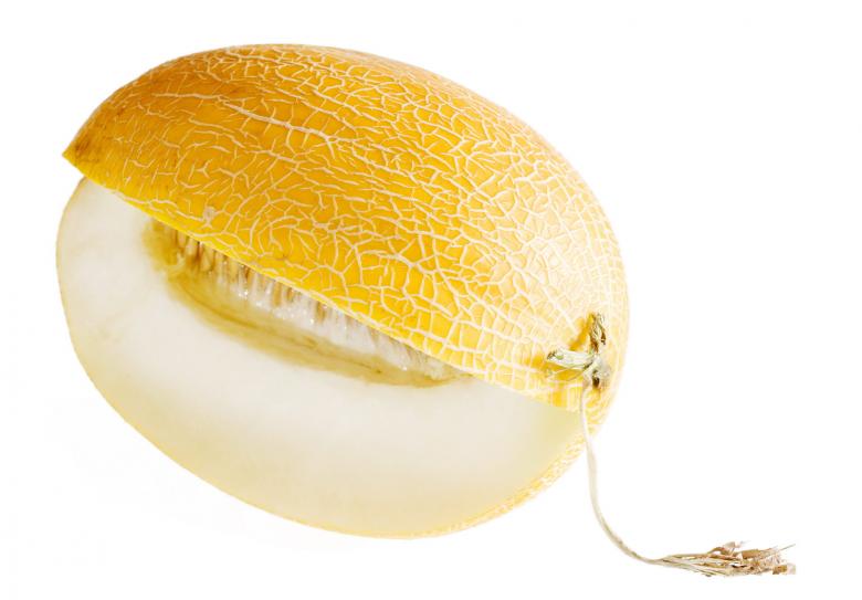 Free stock image of melon created by 2happy