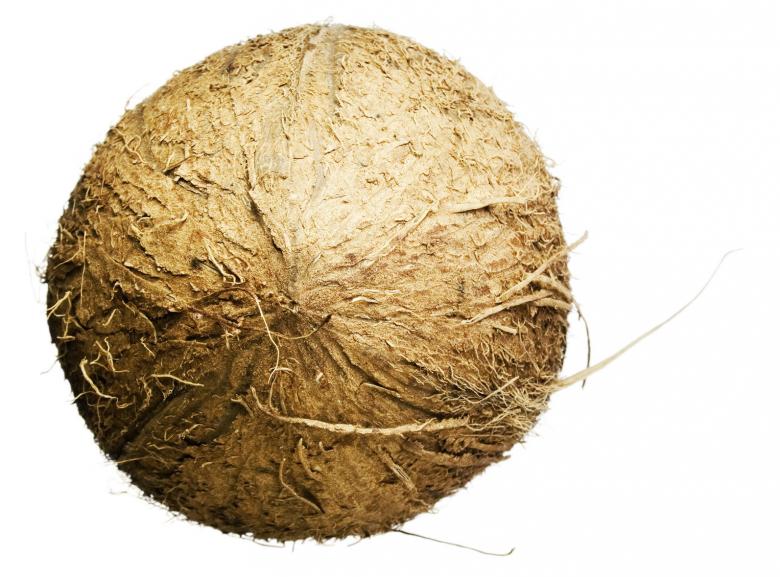 Free stock image of coconut  created by 2happy