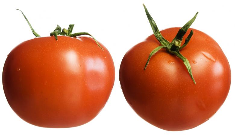 Free stock image of Tomatoes created by 2happy