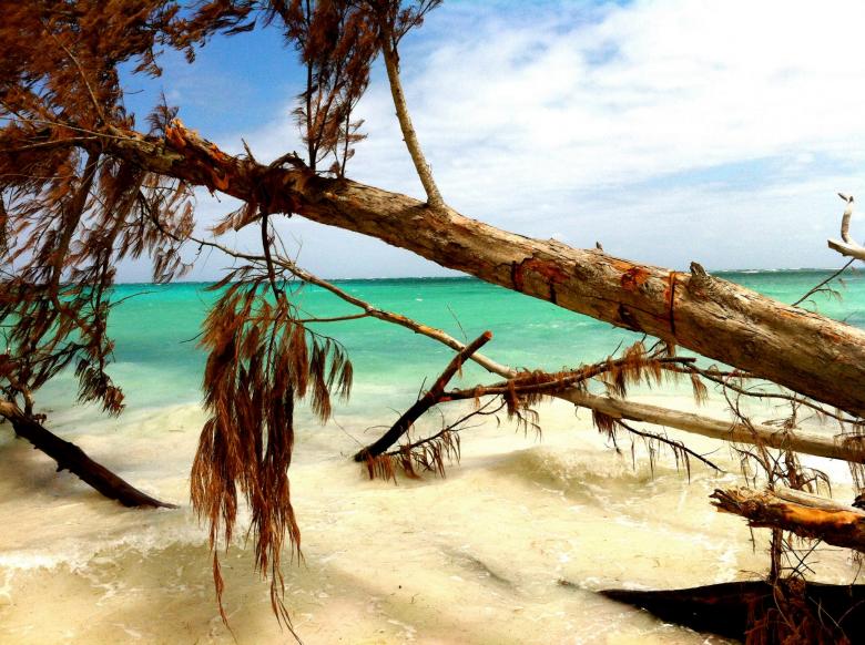 Free stock image of Punta Cana created by Nestor Romero