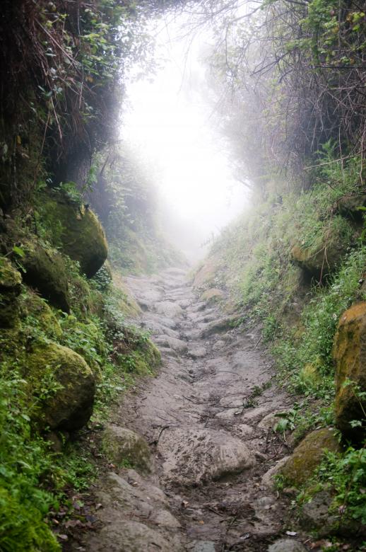 Free stock image of Hiking trail going on the mountain created by Luka