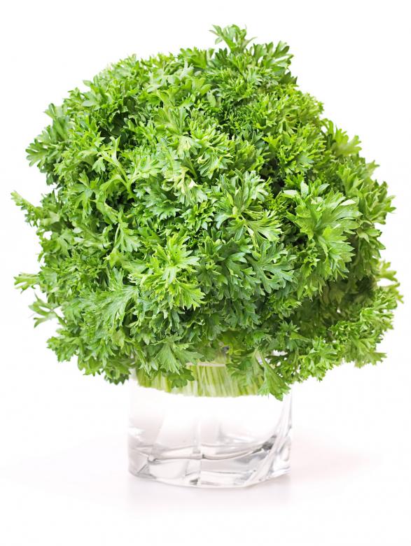 Free stock image of greens created by 2happy