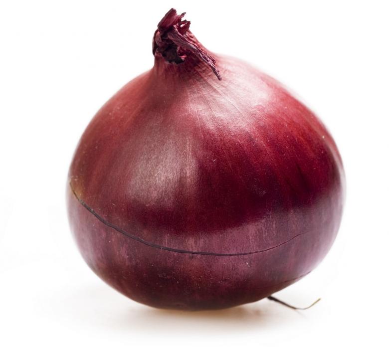 Free stock image of Onion created by 2happy
