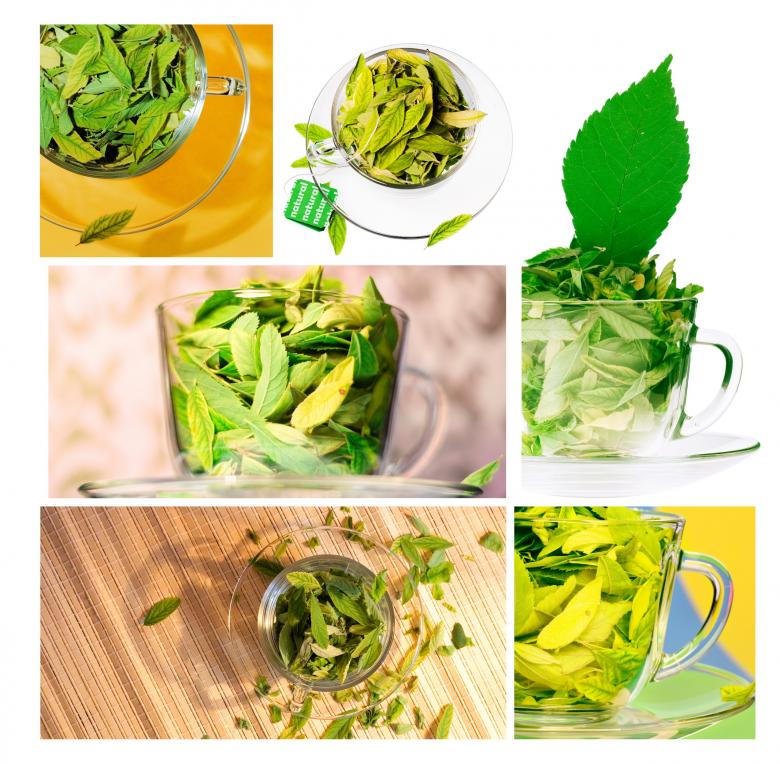 Free stock image of Green leaves in cups created by 2happy
