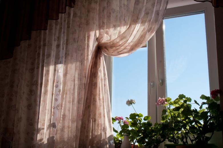 Free stock image of flowers at the window created by 2happy