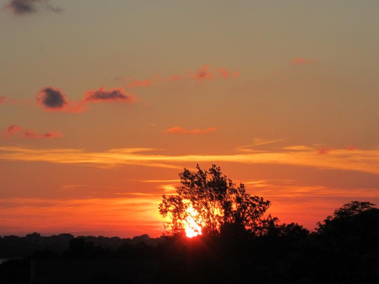 Free stock image of Sunset over a tree created by Boris Kyurkchiev