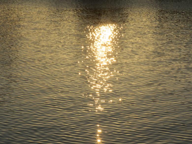 Free stock image of Sea water at sunset created by Boris Kyurkchiev