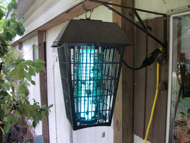 Free stock image of Bug zapper created by delicopsch56