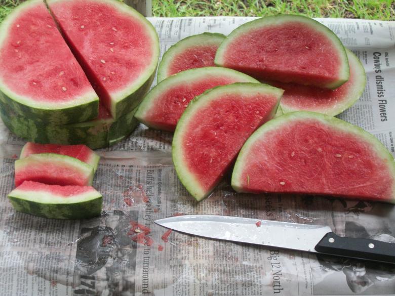 Free stock image of Sliced Watermelon created by delicopsch56