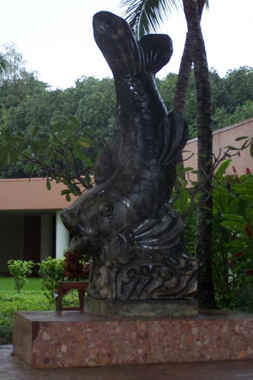 Free stock image of Fish statue created by delicopsch56