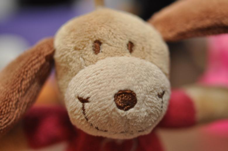 Free stock image of Dog toy created by Tomas Mordo
