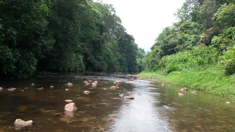 Free stock image of River created by Vaisakh Suresh