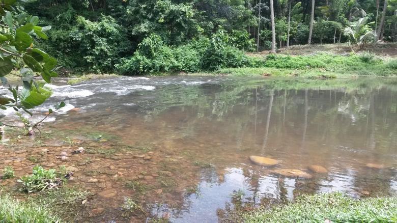 Free stock image of River created by Vaisakh Suresh