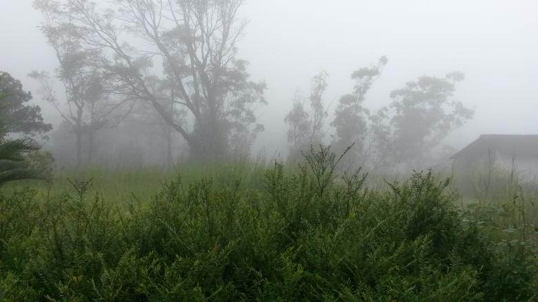 Free stock image of Mist created by Vaisakh Suresh