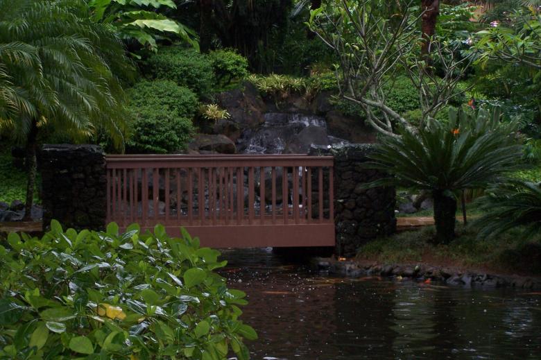 Free stock image of Tropical Garden Bridge created by delicopsch56