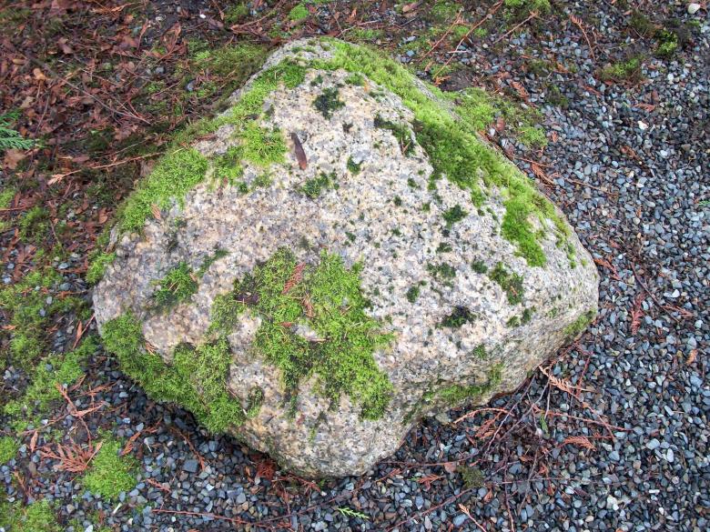 Free stock image of Rock with Mossy Growth 1 created by delicopsch56