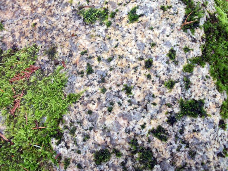 Free stock image of Rock with mossy growth created by delicopsch56