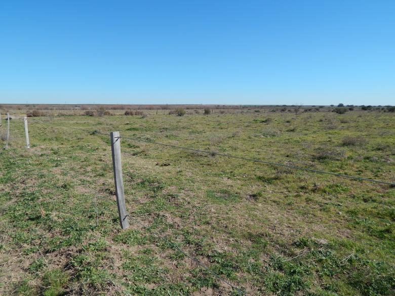 Free stock image of Field created by Silvana