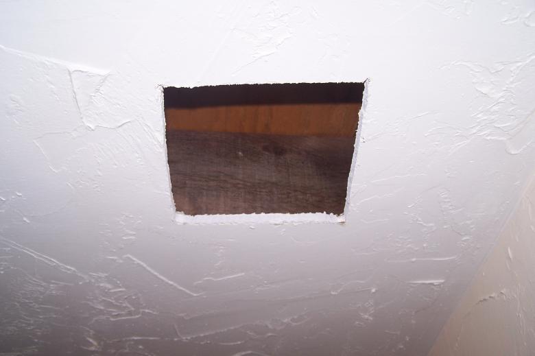 Free stock image of Ceiling Cutout created by delicopsch56
