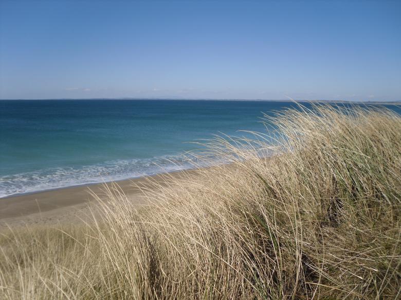 Free stock image of Grass and sea created by Mark Gleeson